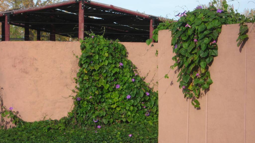 Posada Del Viajero San Rafael Exterior foto